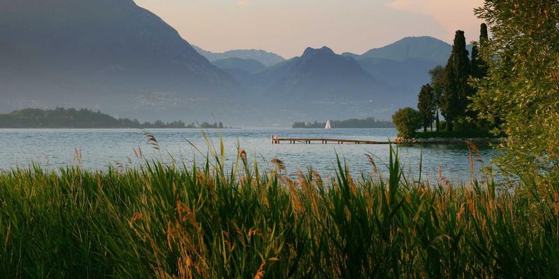 AI for Science：人工智能如何成为基础科学研究的革命性引擎