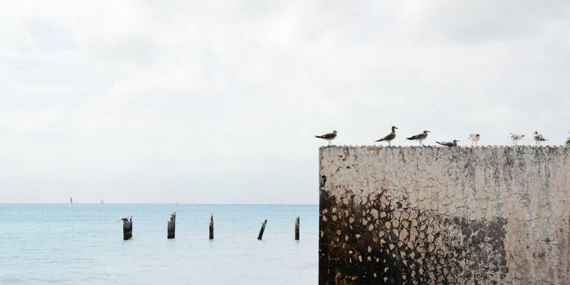 信息技术浪潮下的科技创新：人工智能如何重塑未来