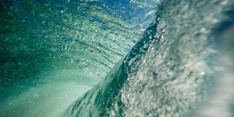 新能源与生物科技双轮驱动：2024年行业动态与未来趋势深度解析