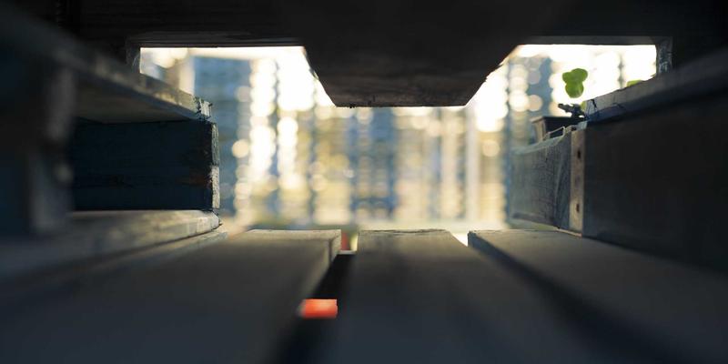 洞悉行业动态:生物科技与人工智能如何重塑未来竞争优势