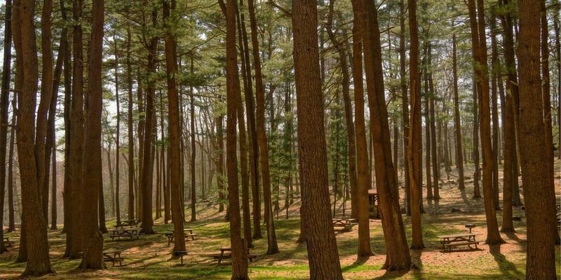 深度学习重塑蛋白质结构预测：前沿科技引领生物科技新纪元