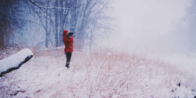 生物制造技术：合成生物学驱动新能源与科技创新的行业动态