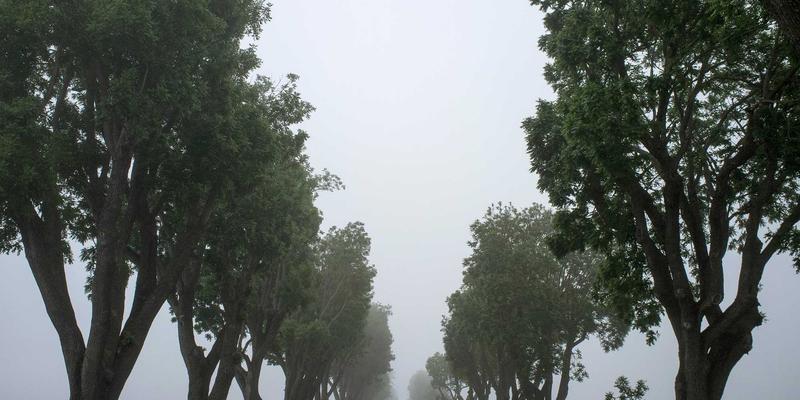 生物科技与新能源共振：科技创新如何重塑未来产业格局