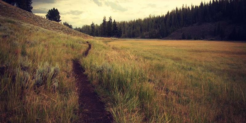 生物科技与新能源融合创新：开启可持续发展新纪元