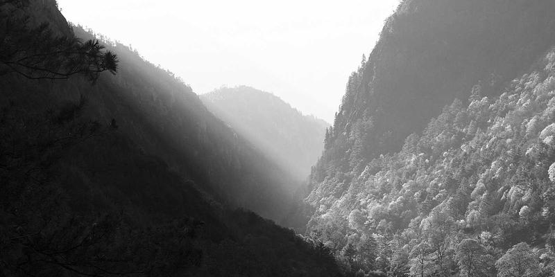 生物科技行业动态深度解读：从基因编辑到细胞疗法，科技资讯揭示未来医疗新图景