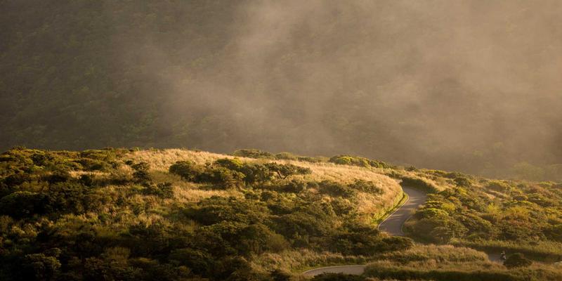生物芯片：驱动精准医疗的前沿科技，从基因测序到即时诊断的能源革命