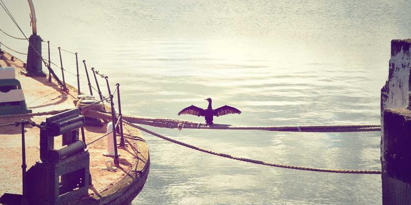 神经形态计算芯片：模拟人脑工作机制的下一代AI硬件新范式