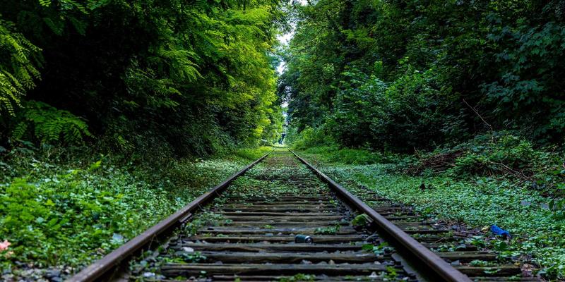 科技创新浪潮下的信息技术行业动态:2024年深度观察与前瞻