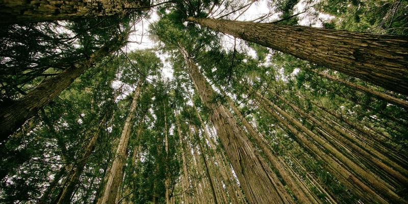 科技创新驱动未来：AR/VR硬件迭代如何与生物科技、新能源共筑元宇宙新入口