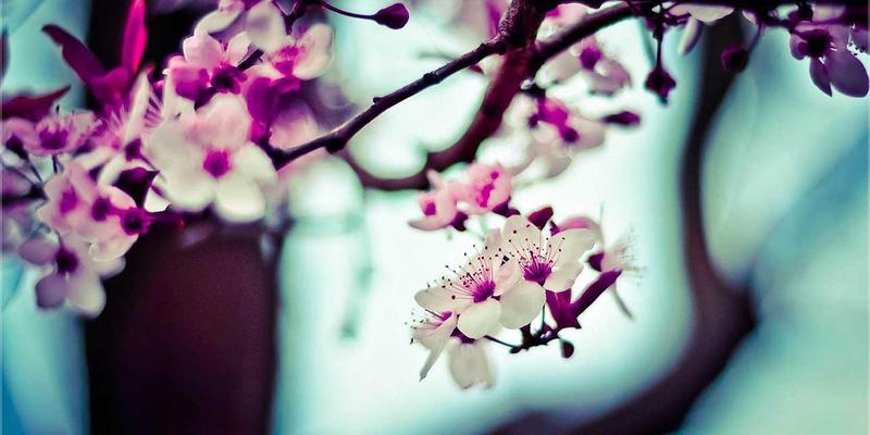 科技资讯33：三大前沿科技突破引领新能源革命新浪潮