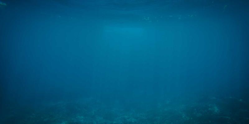 科技资讯60:新能源与生物科技如何重塑未来产业格局