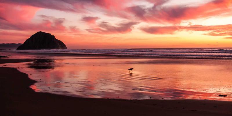 科技资讯77:新能源创新浪潮重塑全球产业格局,三大行业动态揭示未来十年能源革命路径