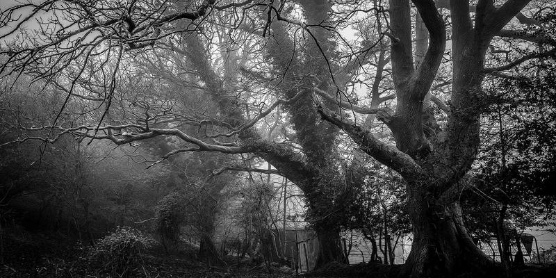 边缘计算与云计算协同发展：科技创新驱动下的行业新动态